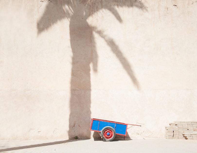 The Rise of Mobile Drink Carts